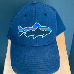 Patagonia hat